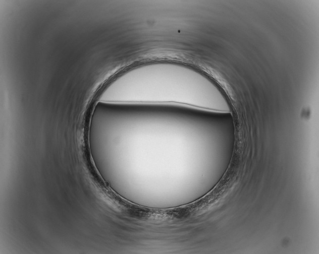 X0000100190399200805300729