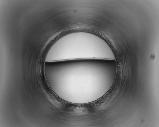 X0000100190400200805300729