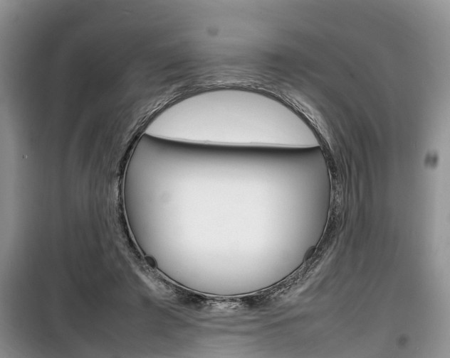 X0000100190401200805300729