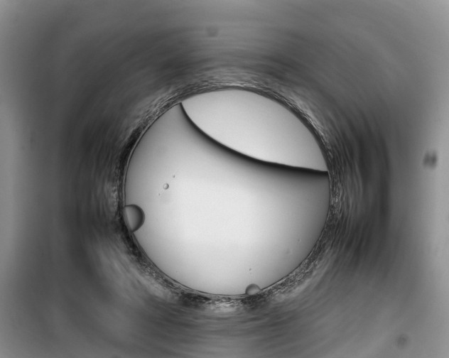 X0000100190402200805300729