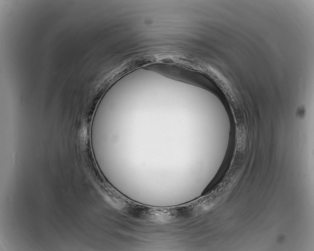 X0000100190405200805300729