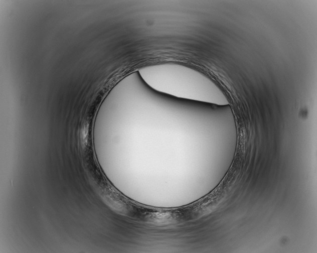 X0000100190406200805300729