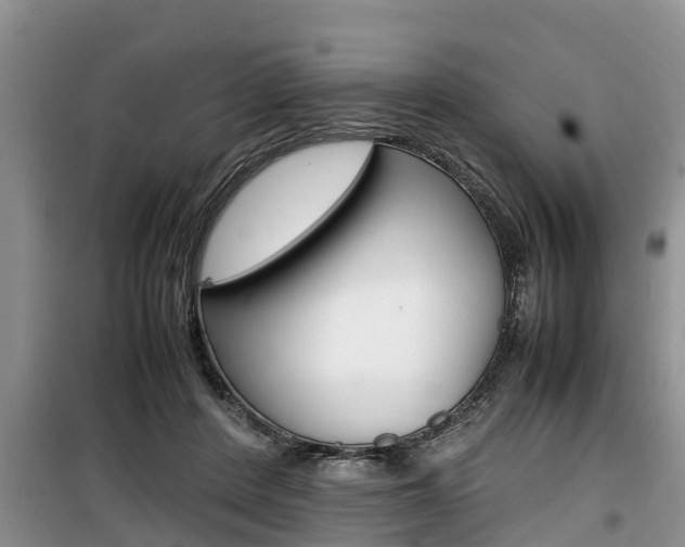 X0000100190408200805300729