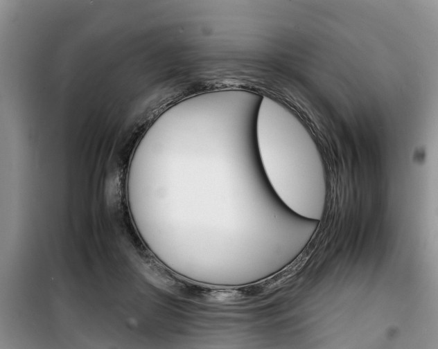 X0000100190410200805300729