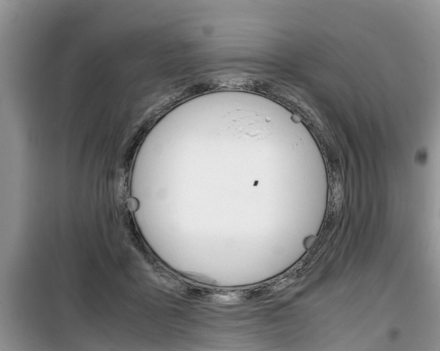 X0000100190411200805300729