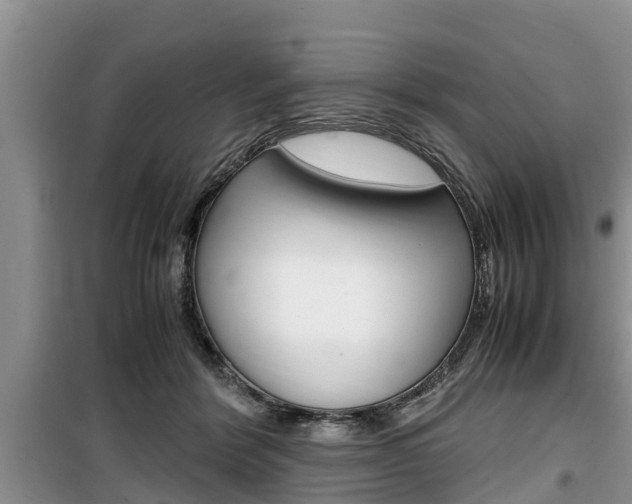 X0000100190412200805300729