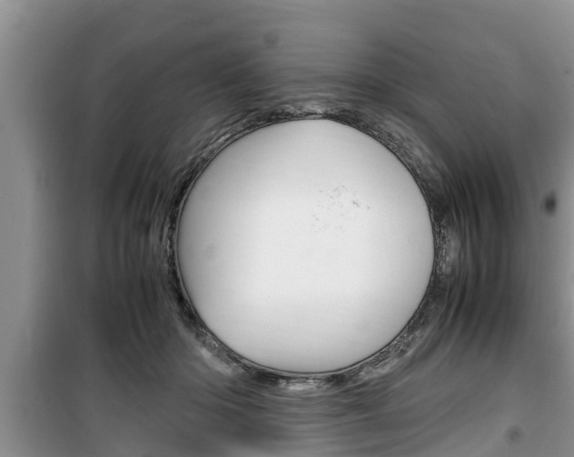 X0000100190414200805300729