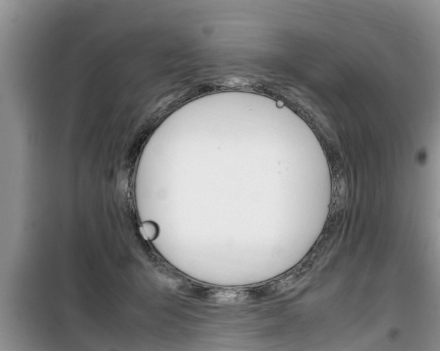 X0000100190415200805300729