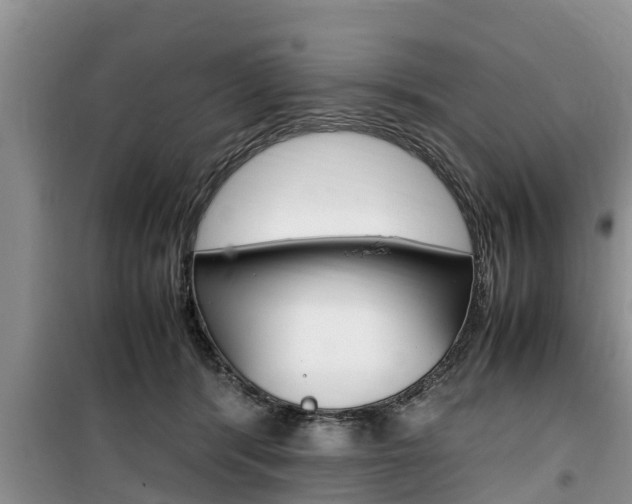 X0000100190416200805300729