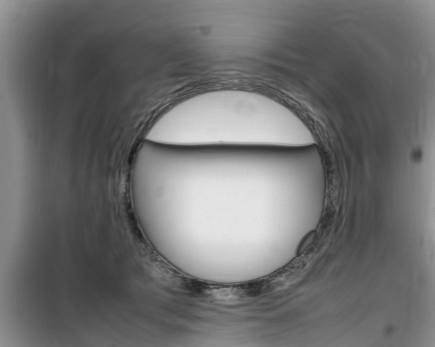 X0000100190417200805300729