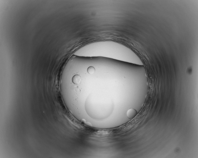 X0000100190418200805300729
