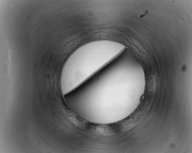 X0000100190420200805300729