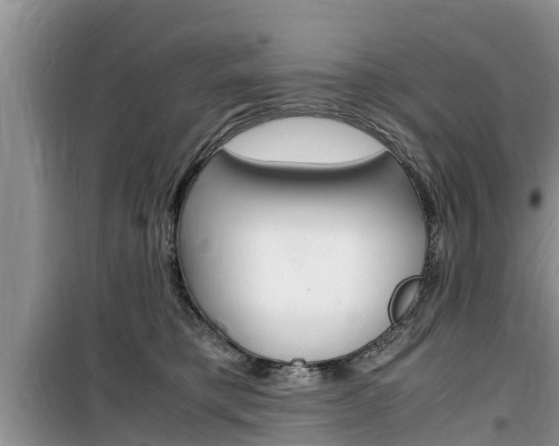 X0000100190421200805300729