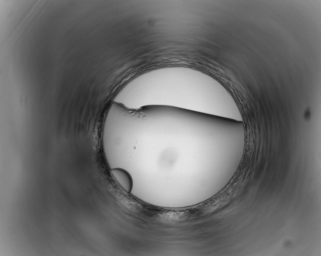 X0000100190422200805300729