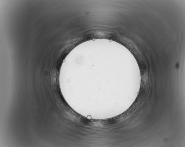 X0000100190423200805300729