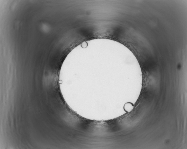 X0000100190427200805300729