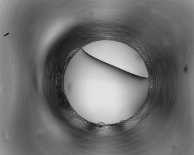 X0000100190430200805300729