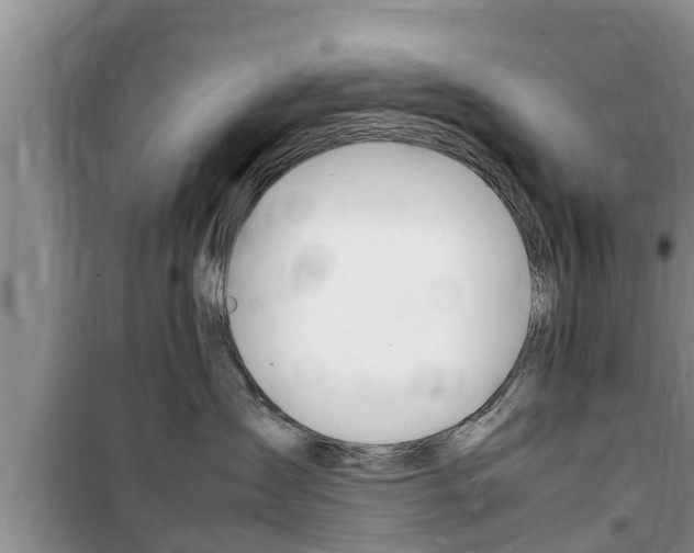 X0000100190431200805300729