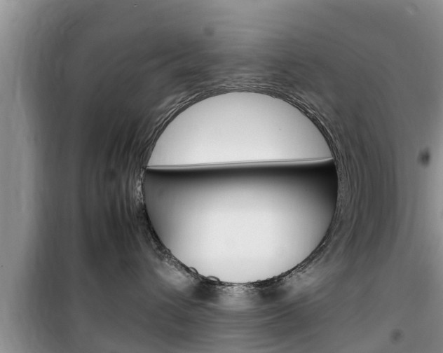 X0000100190432200805300729