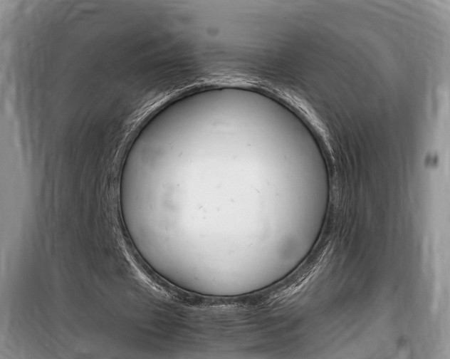 X0000100190433200805300728