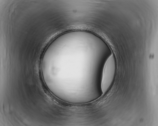 X0000100190434200805300728