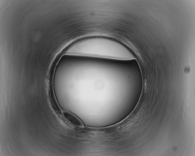 X0000100190436200805300728