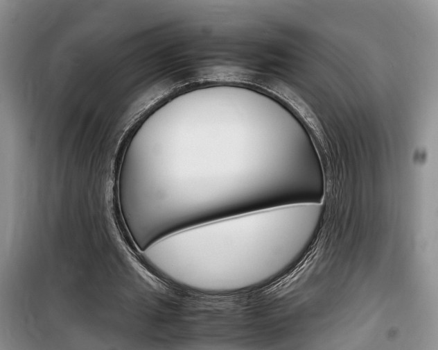 X0000100190437200805300728