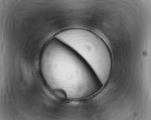 X0000100190441200805300728
