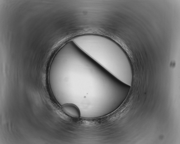 X0000100190442200805300728