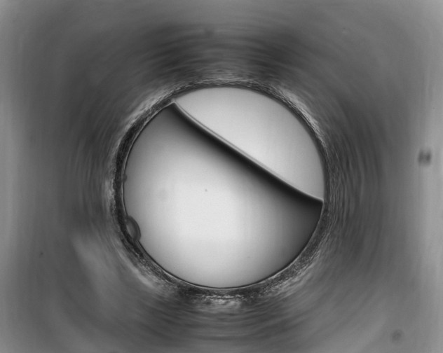 X0000100190443200805300728