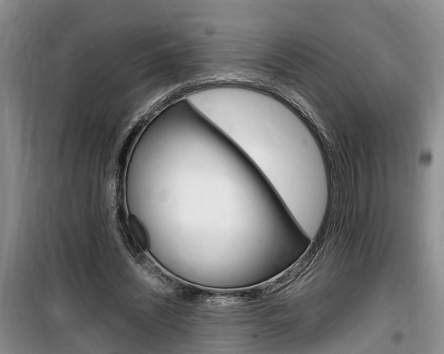 X0000100190444200805300728