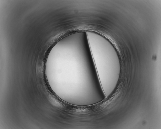 X0000100190445200805300728