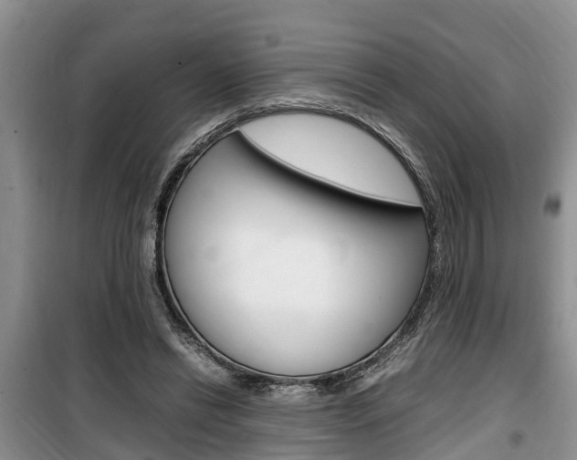 X0000100190446200805300728