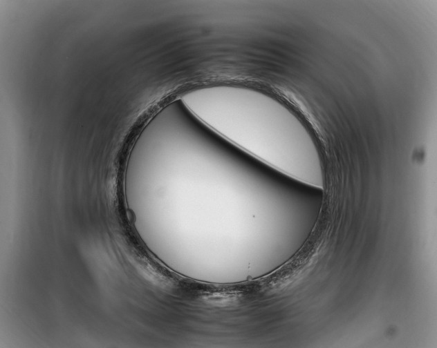 X0000100190447200805300728