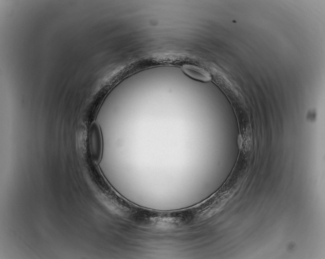 X0000100190448200805300728