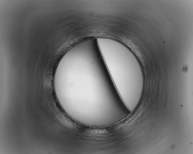 X0000100190449200805300728