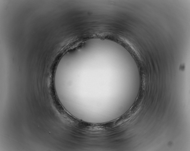 X0000100190451200805300728
