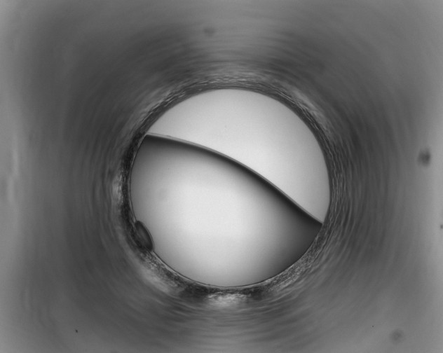 X0000100190452200805300728