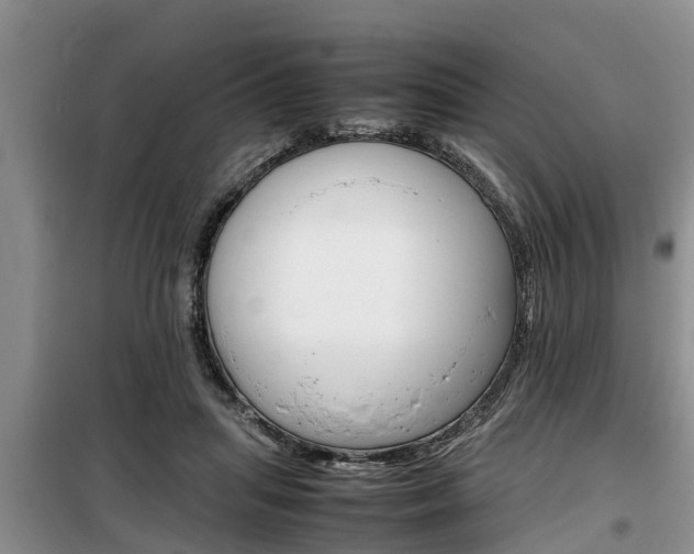 X0000100190455200805300728