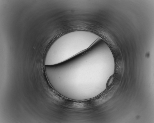 X0000100190457200805300728