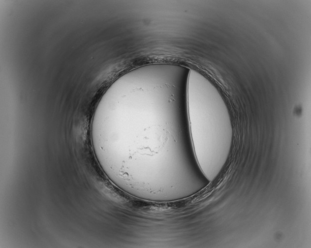 X0000100190458200805300728