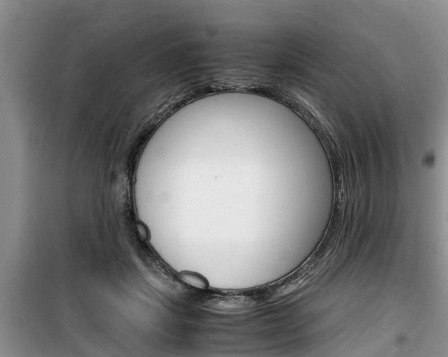 X0000100190459200805300728