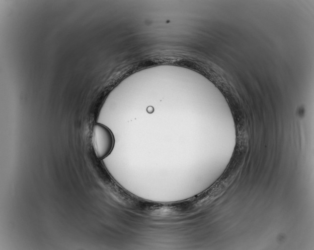 X0000100190460200805300728