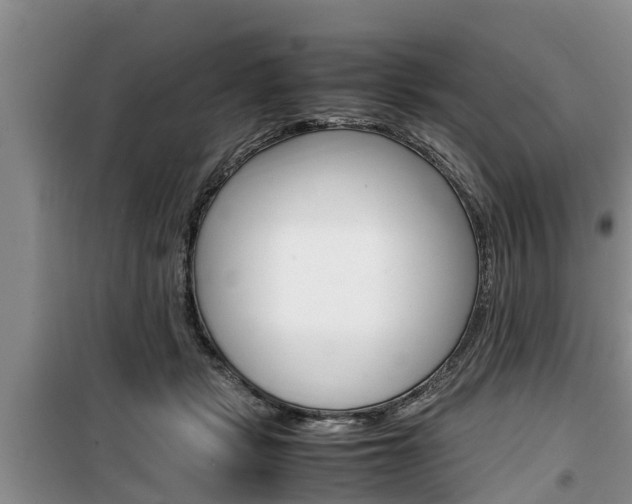 X0000100190461200805300728