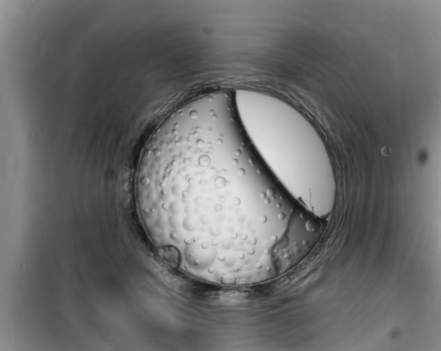 X0000100190462200805300728