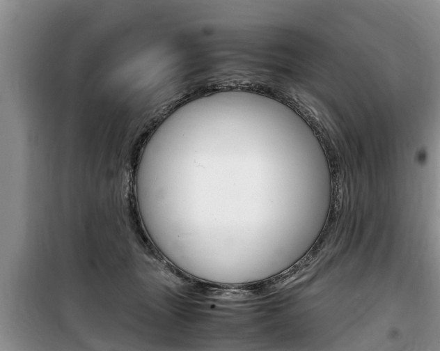 X0000100190463200805300728