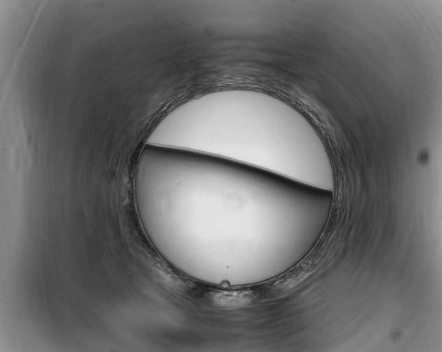 X0000100190465200805300728