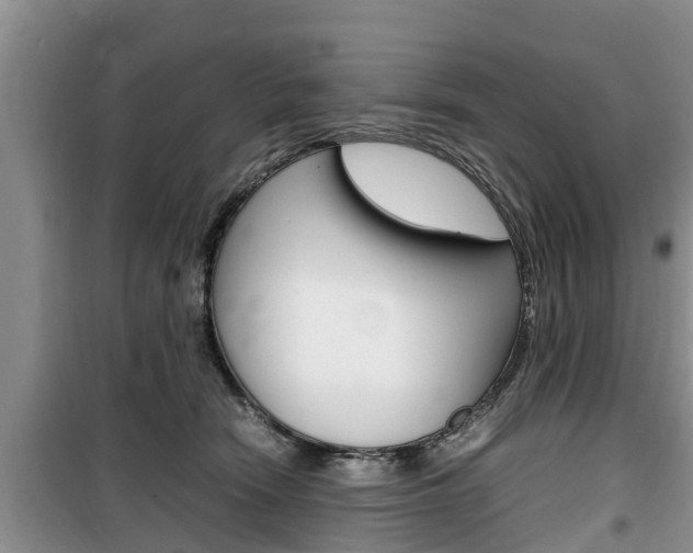 X0000100190466200805300728