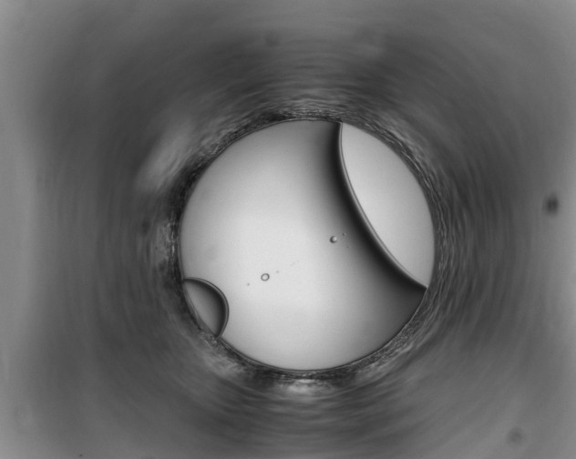 X0000100190467200805300728
