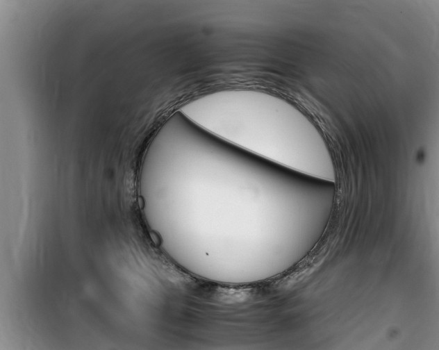 X0000100190469200805300728